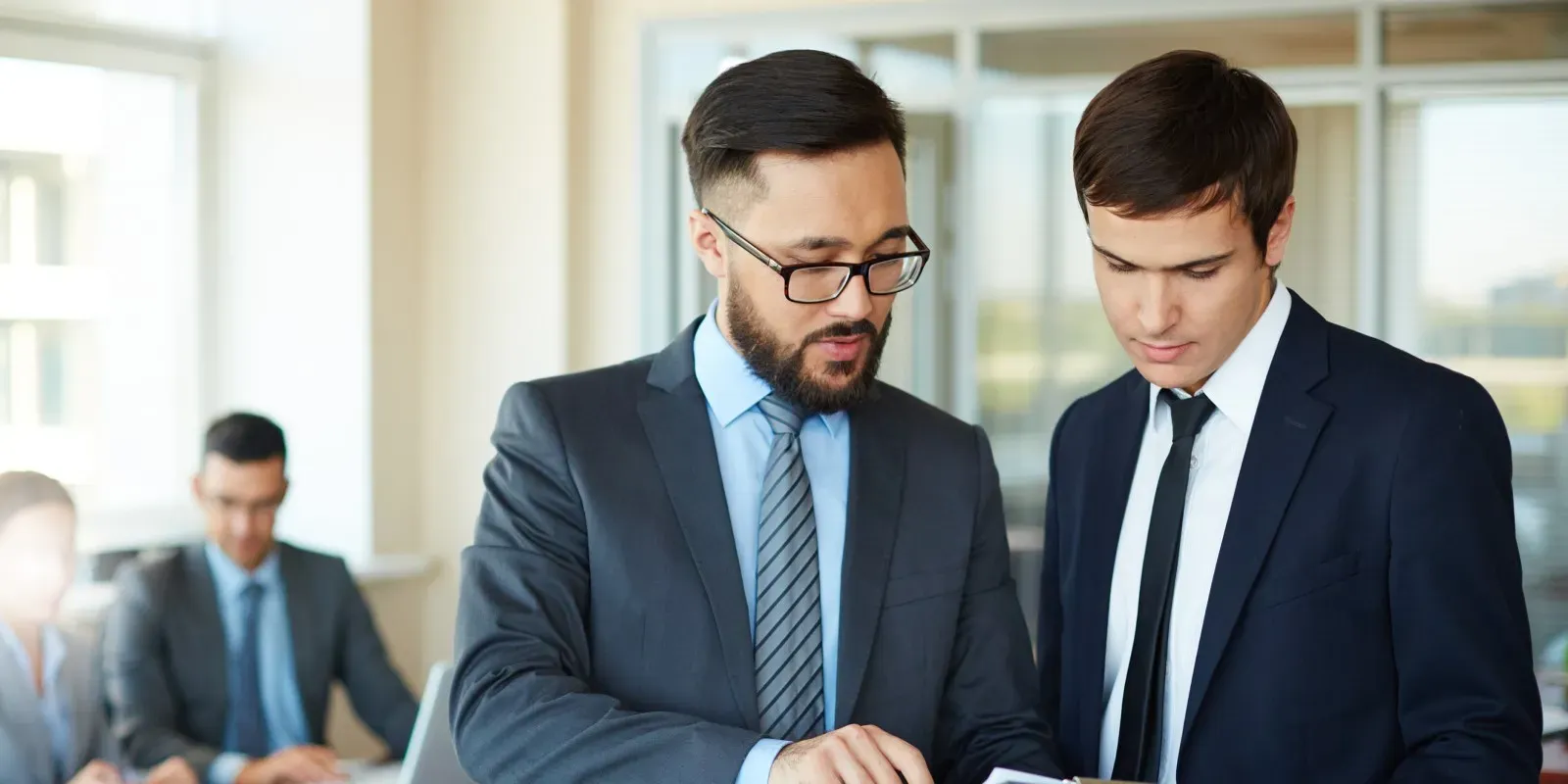Professional IT consultation
